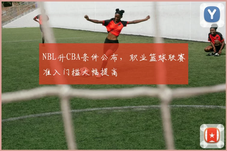 NBL升CBA条件公布,职业篮球联赛准入门槛大幅提高