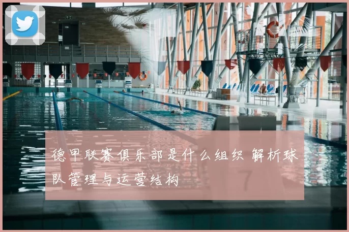 德甲联赛俱乐部是什么组织 解析球队管理与运营结构