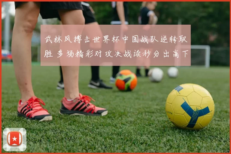 武林风搏击世界杯中国战队逆转取胜 多场精彩对攻决战读秒分出高下