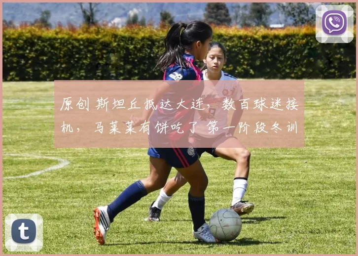 原创 斯坦丘抵达大连,数百球迷接机,马莱莱有饼吃了 第一阶段冬训收官